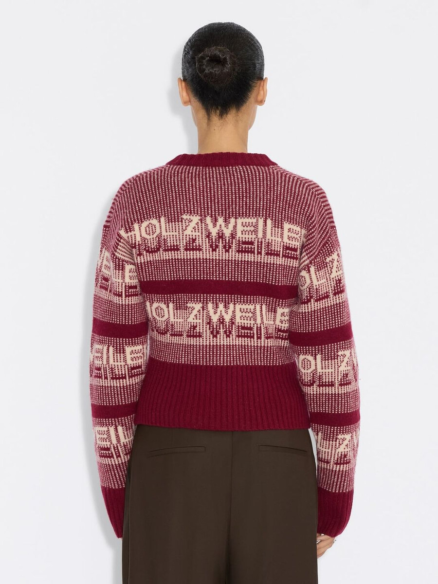 ski cropped crewneck sweater