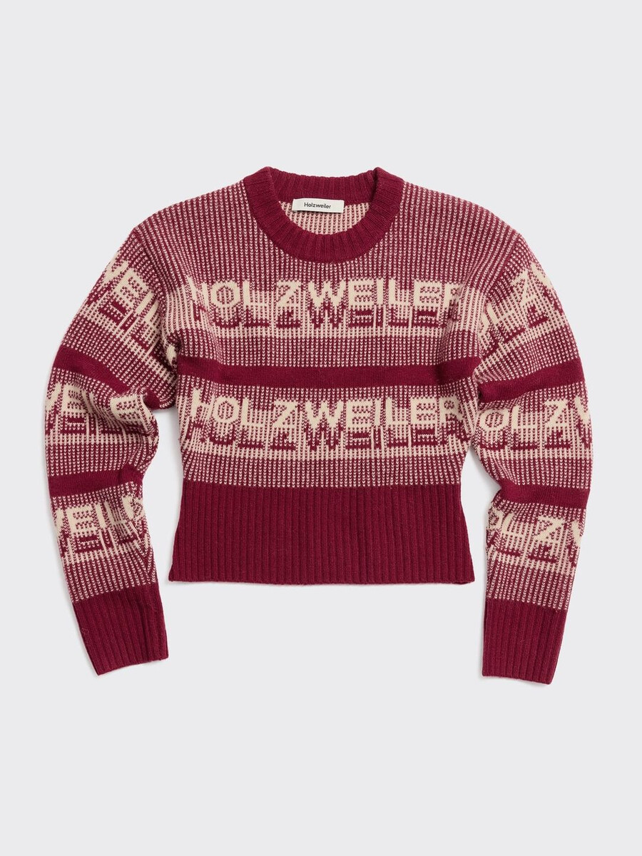 ski cropped crewneck sweater
